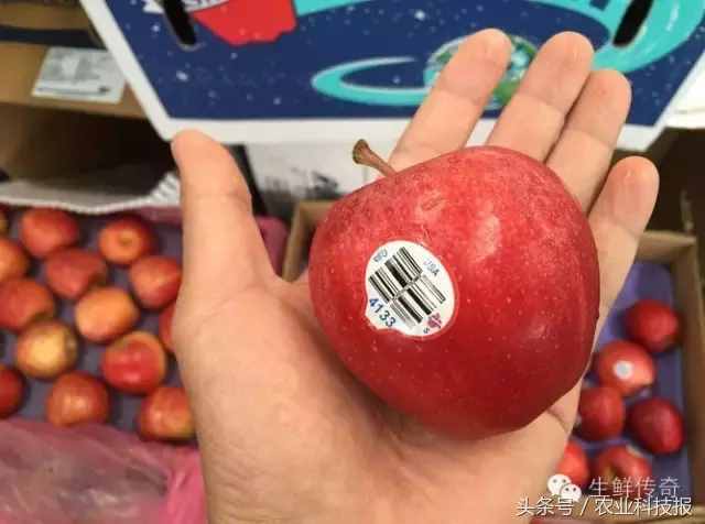 嘎啦行情出現(xiàn)跳水價，國產(chǎn)“嘎啦果”比進口的到底有啥差別？