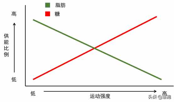 最新大數(shù)據(jù)研究證實：跑步是最有效的減肥運動，無論你是何種體質(zhì)