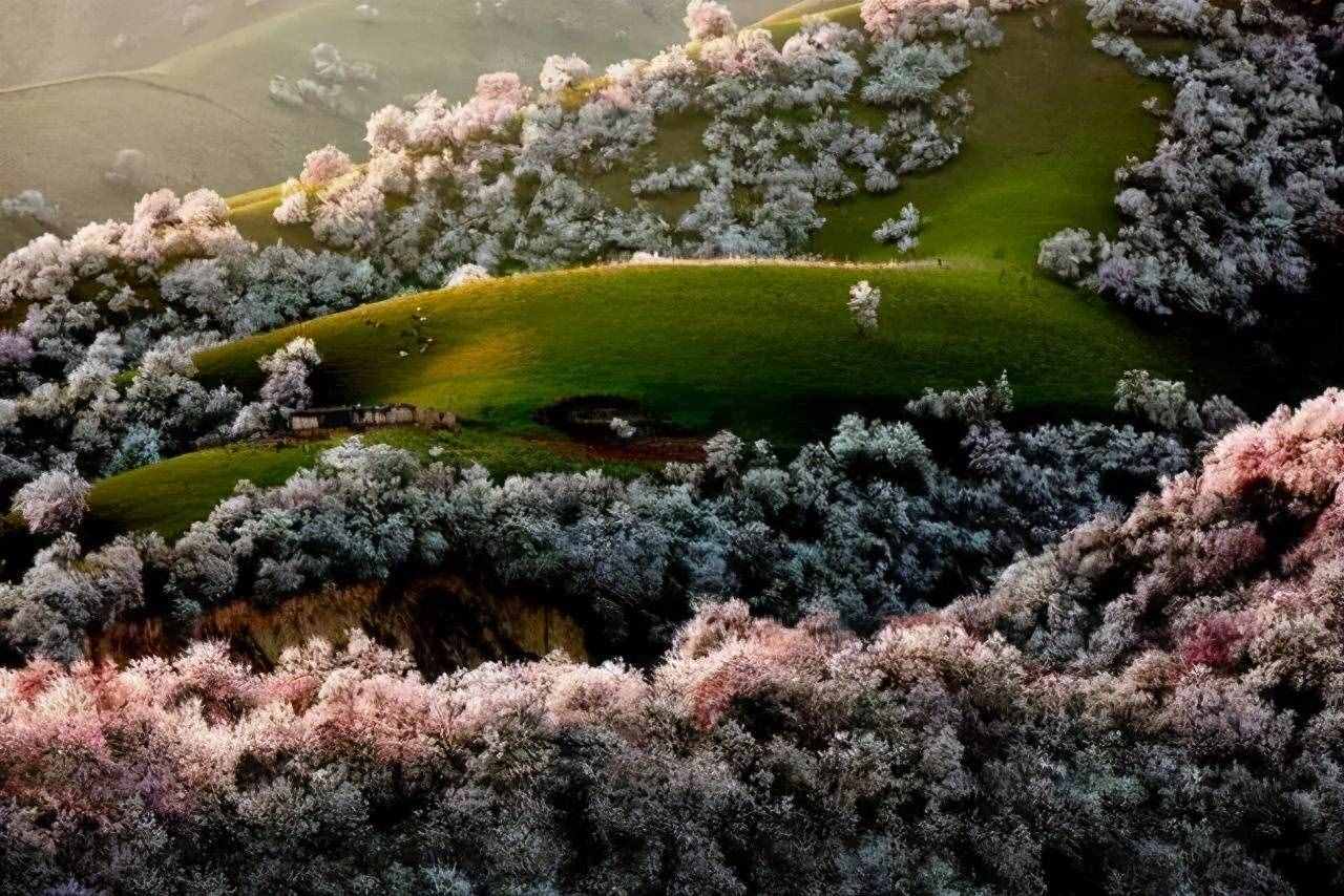 中國(guó)春季必去的八大美景，你都看過了嗎？