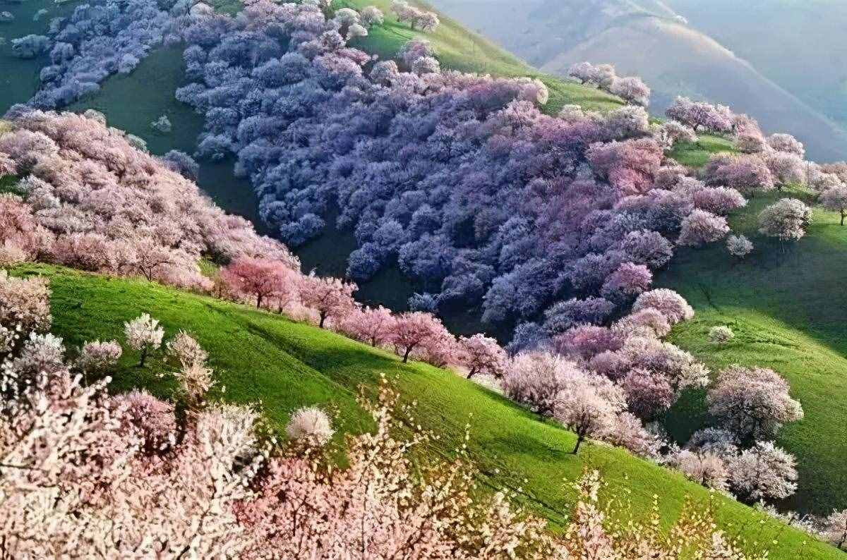 中國(guó)春季必去的八大美景，你都看過了嗎？