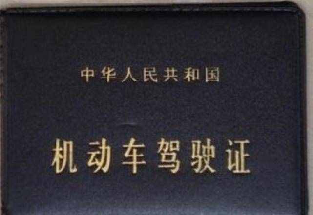 考駕照最新色彩檢測(cè)，五個(gè)盤(pán)子都能看出來(lái)嗎？老司機(jī)也可以再試試
