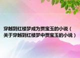 穿越到紅樓夢成為賈寶玉的小說（關(guān)于穿越到紅樓夢中賈寶玉的小說）