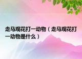 走馬觀花打一動(dòng)物（走馬觀花打一動(dòng)物是什么）