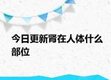 今日更新腎在人體什么部位