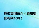 感知集團簡介（感知集團有限公司）