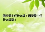 國(guó)資委主任什么級(jí)（國(guó)資委主任什么級(jí)別）
