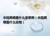 水陸兩棲是什么意思?。ㄋ憙蓷鞘裁磩游铮? /></span></a>
                        <h2><a href=