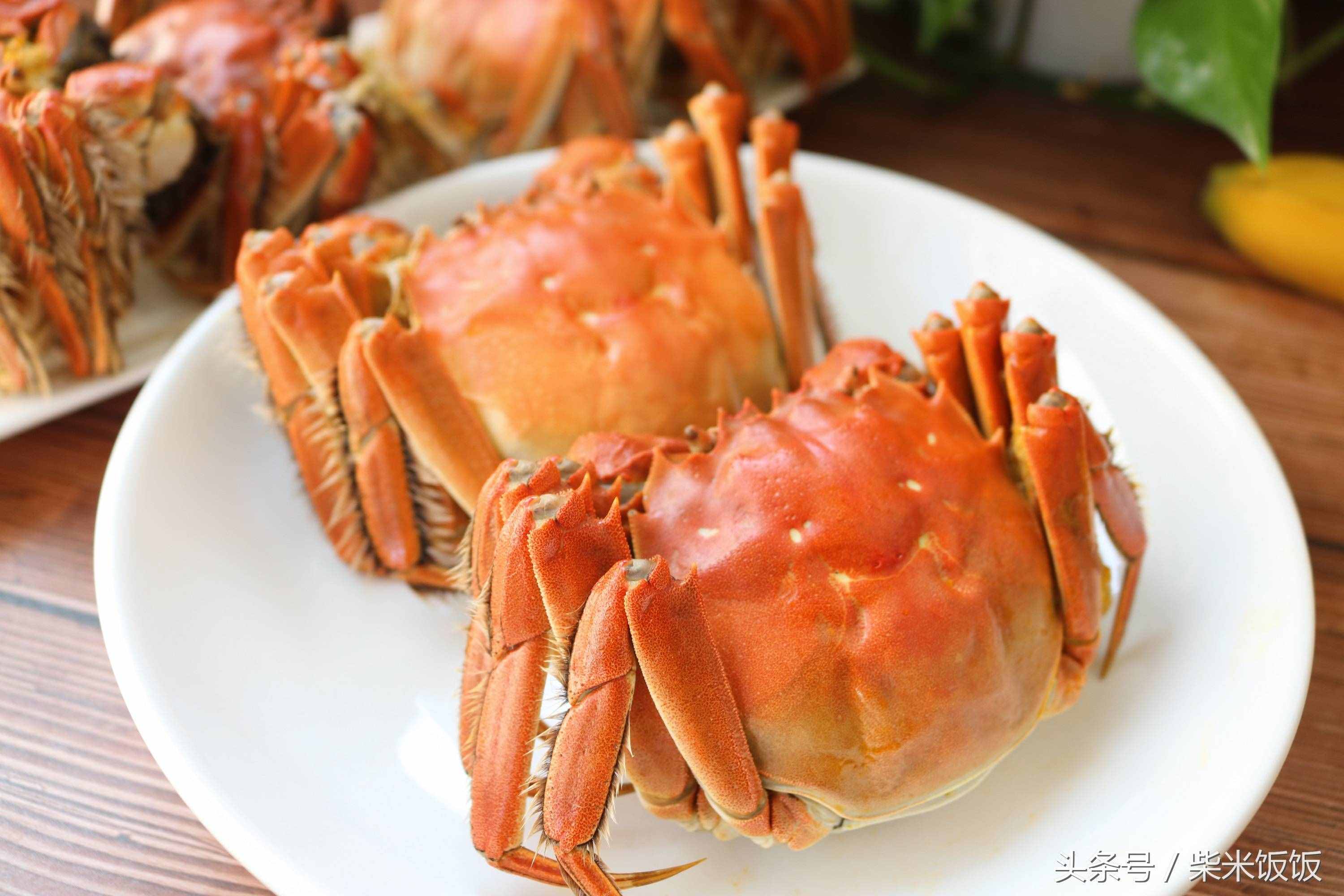 大閘蟹怎么洗？怎么蒸？怎么吃？這三點很多人都做錯了！