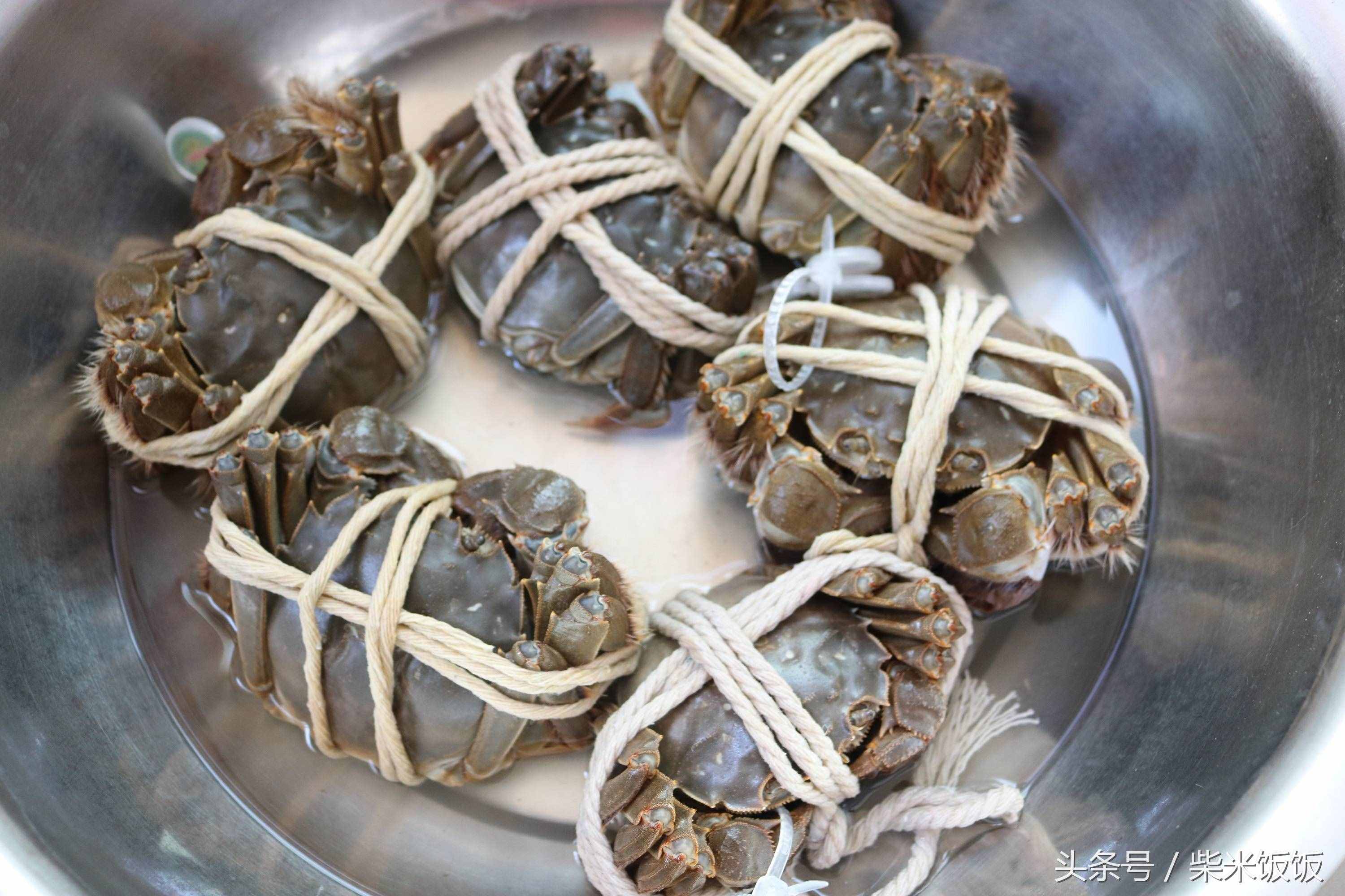 大閘蟹怎么洗？怎么蒸？怎么吃？這三點很多人都做錯了！