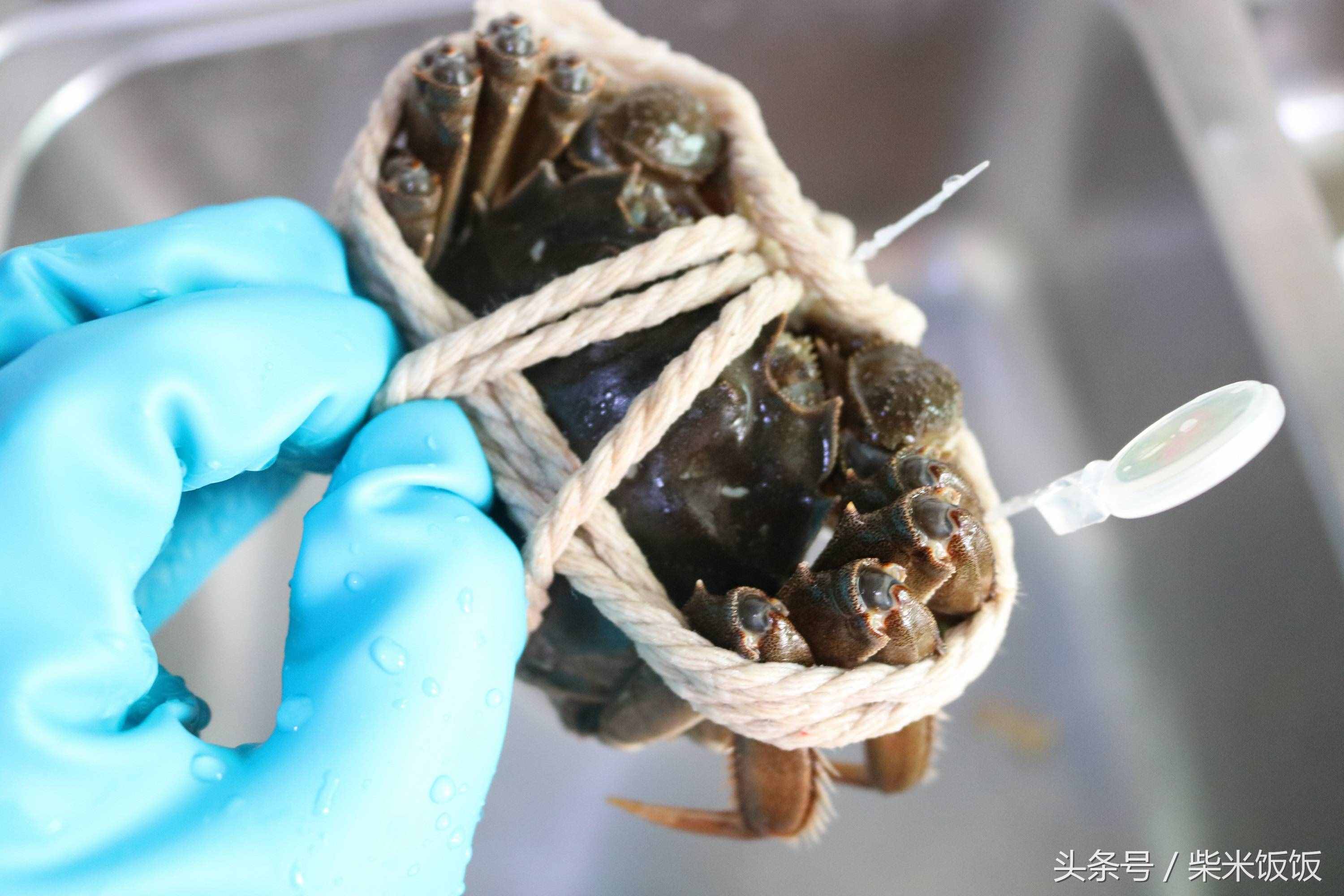 大閘蟹怎么洗？怎么蒸？怎么吃？這三點很多人都做錯了！