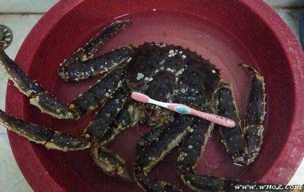 帝王蟹怎么做好吃？香辣帝王蟹的做法