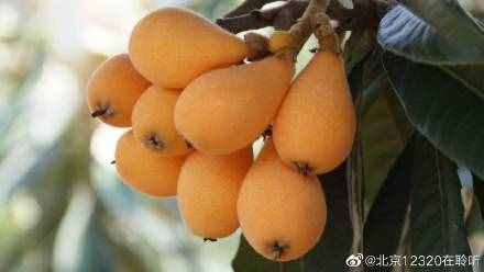 兒童咳嗽吃什么好？三種食物來(lái)幫您