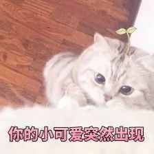 打電話該怎么聊？送你3個(gè)比土味情話好用一萬倍的小思路