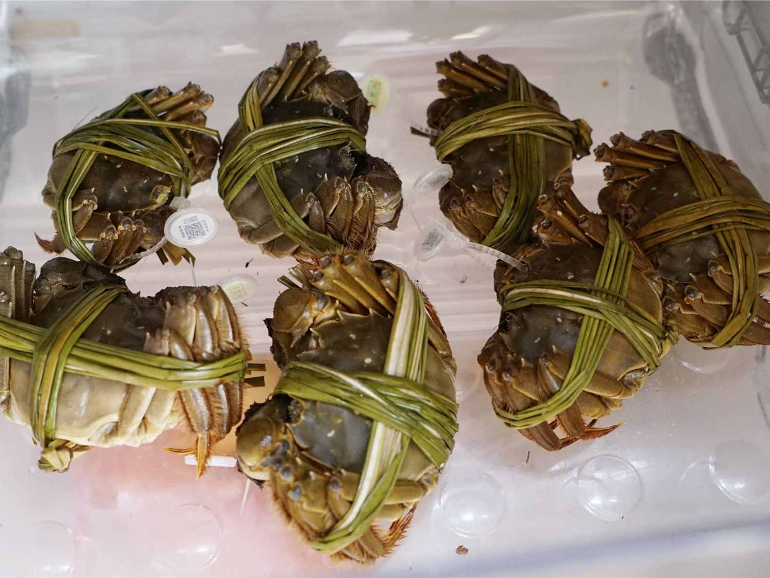 吃蟹季節(jié)到，大閘蟹買多了，怎么保存？大閘蟹怎么才做好吃？