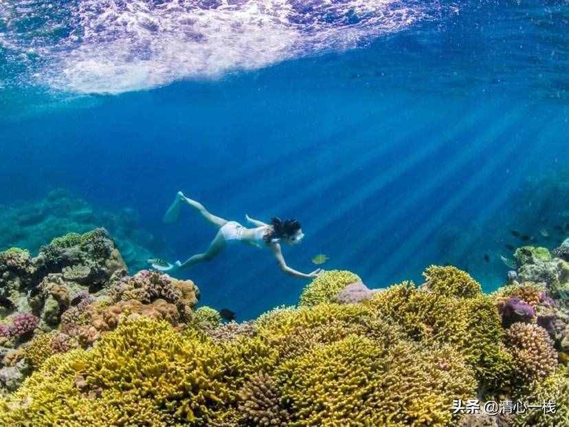 人生在世，如魚飲水，冷暖自知