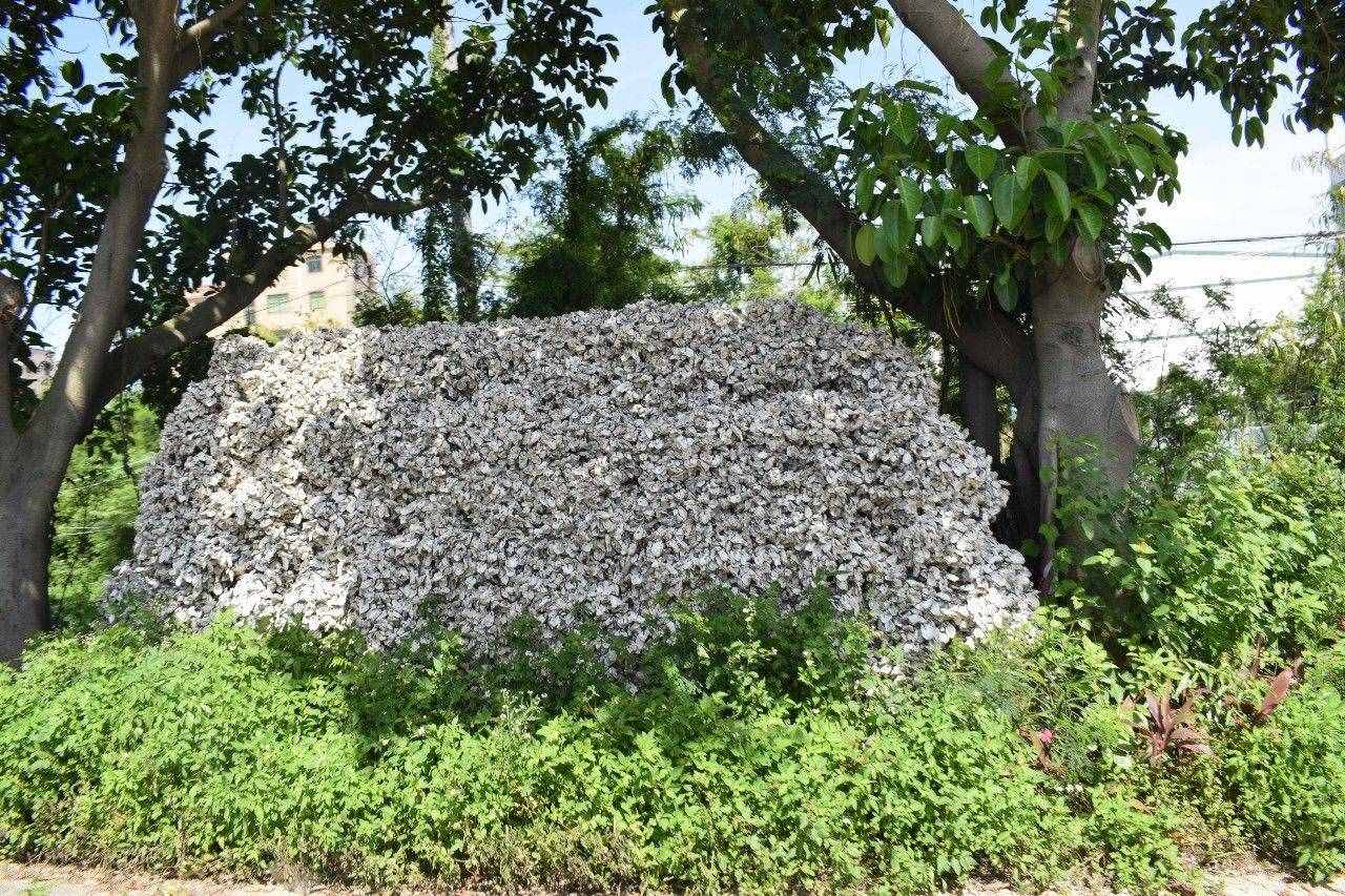 Weekend｜周末去大嶝島，真是因為好奇了很久它到底長啥樣