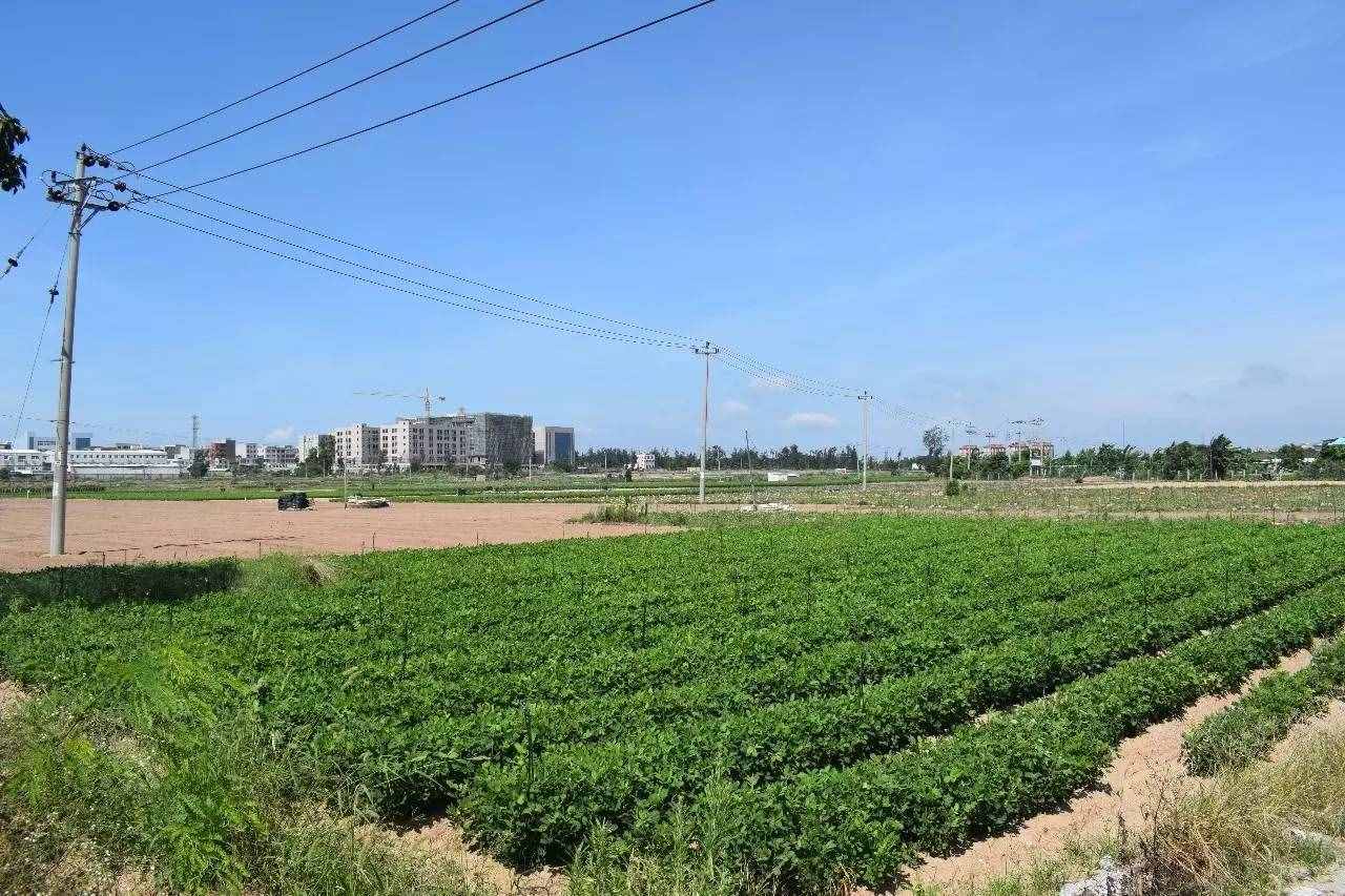 Weekend｜周末去大嶝島，真是因為好奇了很久它到底長啥樣