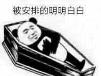 安排是什么梗 網(wǎng)絡(luò)用語安排是什么意思