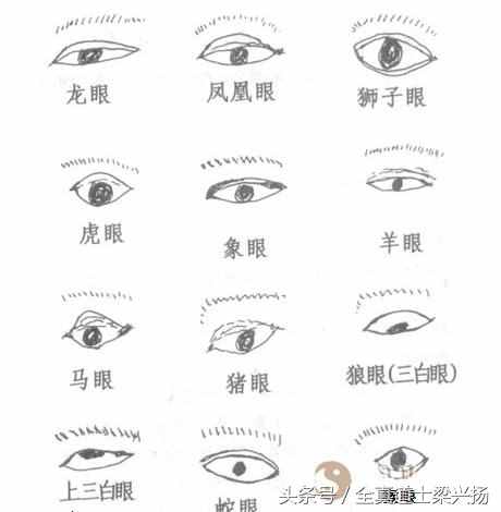為何人臉叫五官？五官都是管什么的？