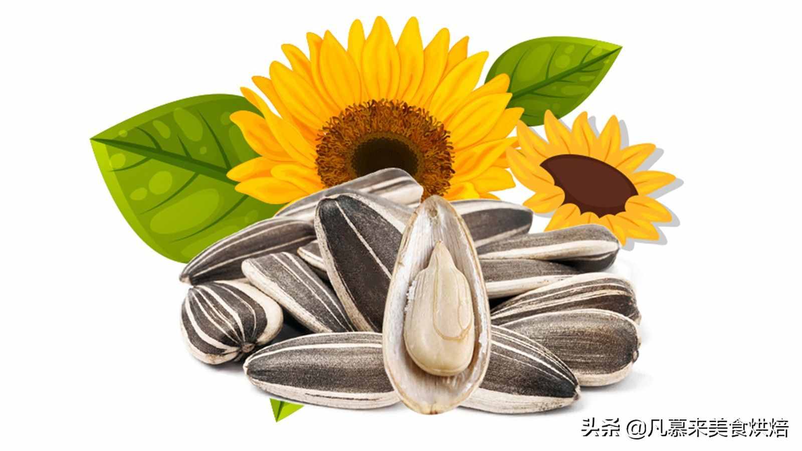 堅(jiān)果類食品有哪些？25種堅(jiān)果大全你都認(rèn)識(shí)嗎？堅(jiān)果的吃法有哪些