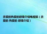 親愛的熱愛的劇情介紹電視貓（親愛的 熱愛的 劇情介紹）