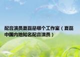 配音演員夏磊是哪個(gè)工作室（夏磊 中國(guó)內(nèi)地知名配音演員）