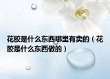 花膠是什么東西哪里有賣(mài)的（花膠是什么東西做的）