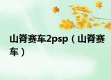 山脊賽車2psp（山脊賽車）