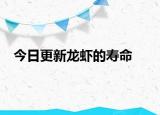 今日更新龍蝦的壽命