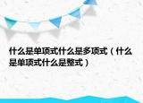 什么是單項式什么是多項式（什么是單項式什么是整式）