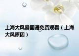 上海大風(fēng)暴國語免費觀看（上海大風(fēng)原因）