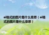 ai格式的圖片是什么意思（ai格式的圖片是什么意思）
