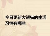 今日更新大熊貓的生活習(xí)性有哪些