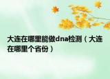大連在哪里能做dna檢測（大連在哪里個省份）