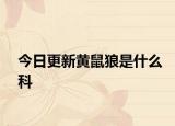 今日更新黃鼠狼是什么科