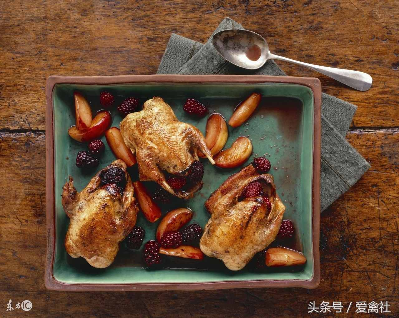 鷓鴣的養(yǎng)殖養(yǎng)殖前景如何，值得投資嗎？