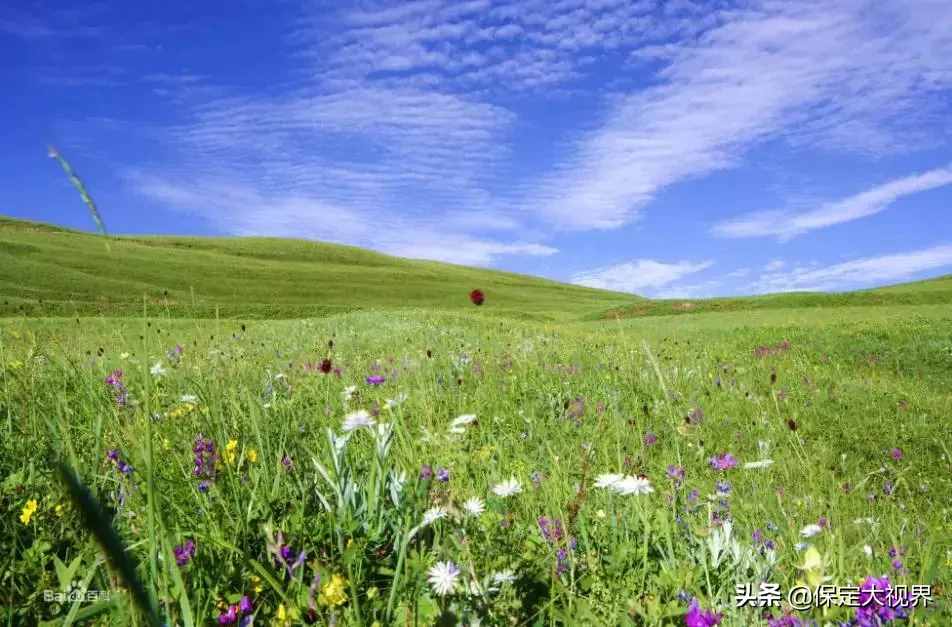 河北人不用去內(nèi)蒙古，就在保定立馬空中看草原！！