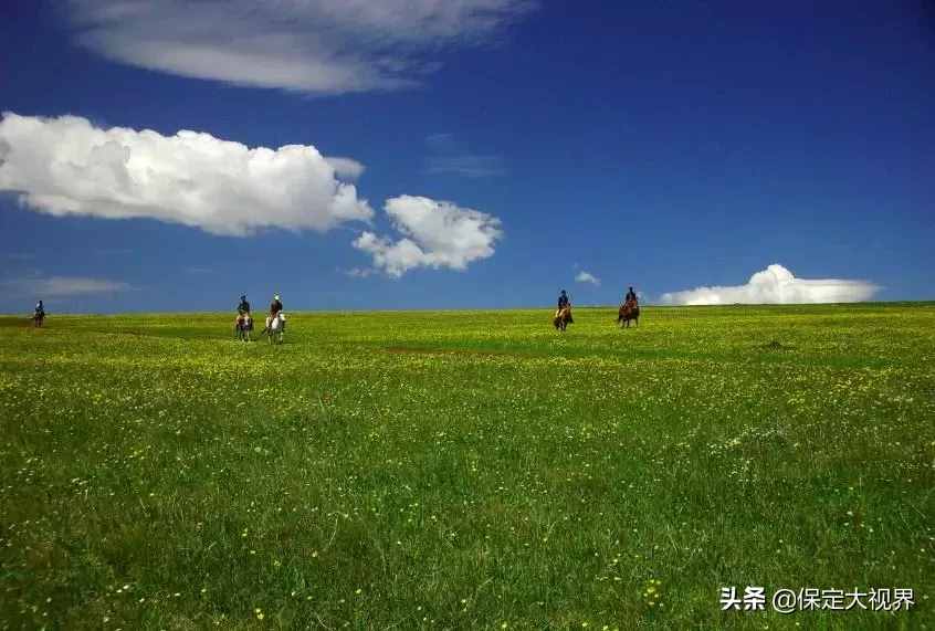 河北人不用去內(nèi)蒙古，就在保定立馬空中看草原??！