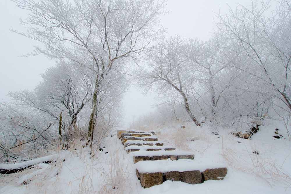 囊螢映雪中的主人公，小時(shí)候不向命運(yùn)低頭，長大后卻被逼自殺