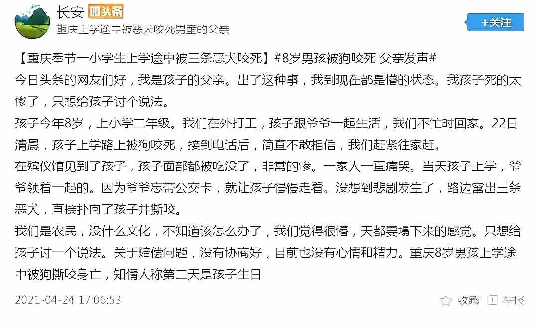 重慶8歲男童遭3只惡犬咬傷身亡！狗主人養(yǎng)犬喂生肉不栓繩，目前惡犬均被捕殺