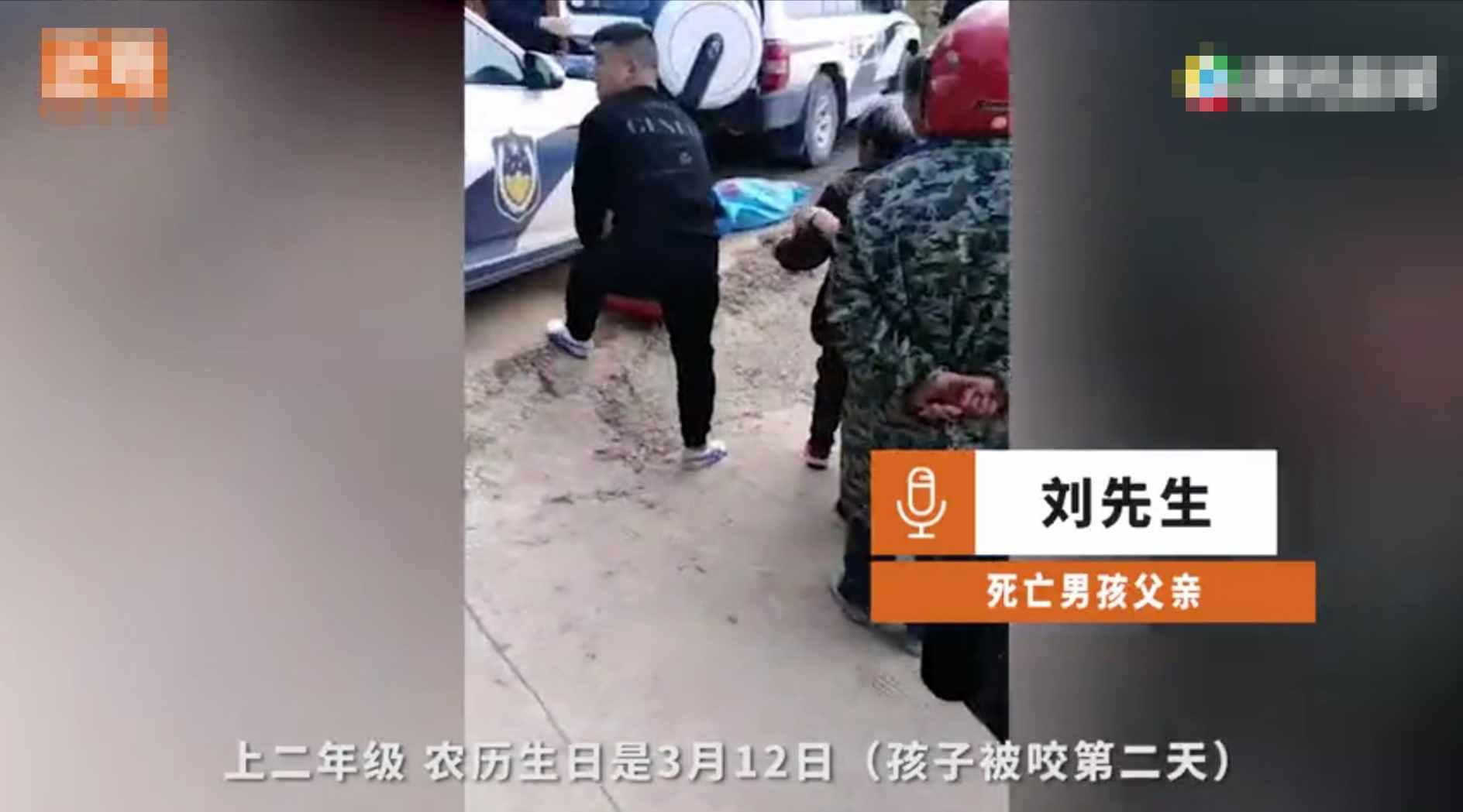 重慶8歲男童遭3只惡犬咬傷身亡！狗主人養(yǎng)犬喂生肉不栓繩，目前惡犬均被捕殺