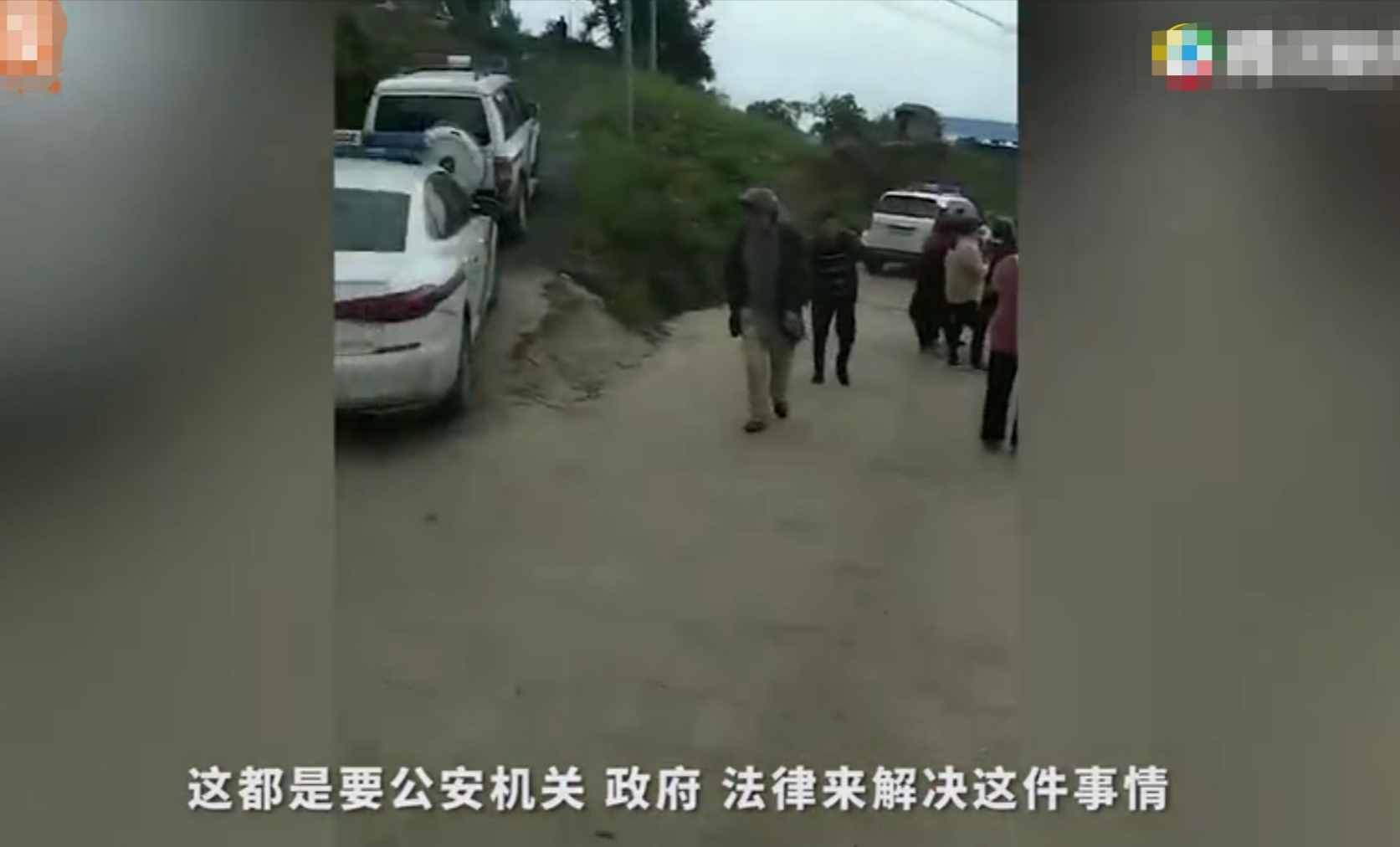 重慶8歲男童遭3只惡犬咬傷身亡！狗主人養(yǎng)犬喂生肉不栓繩，目前惡犬均被捕殺
