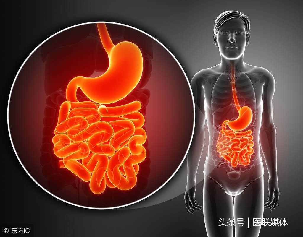 葛根粉可以空腹吃嗎？這樣吃或更健康，千萬(wàn)別錯(cuò)過(guò)了