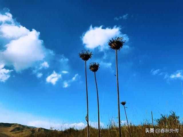 藏歷新年人們都會(huì)說(shuō)“扎西德勒”，這句話(huà)是什么意思？