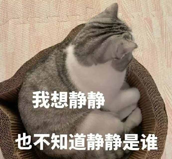 當(dāng)老外對你說“busybody”時要注意了，他并不是在夸你