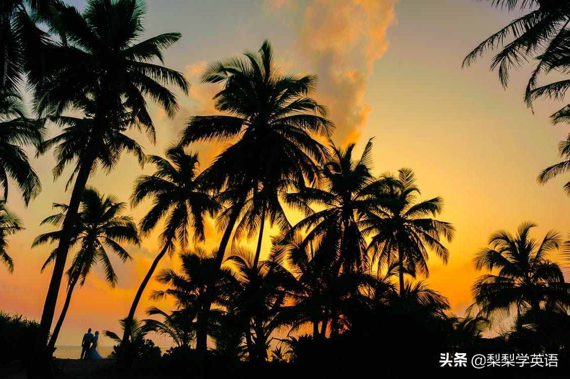 honey是蜂蜜，moon是月亮，那么honeymoon是什么意思呢？