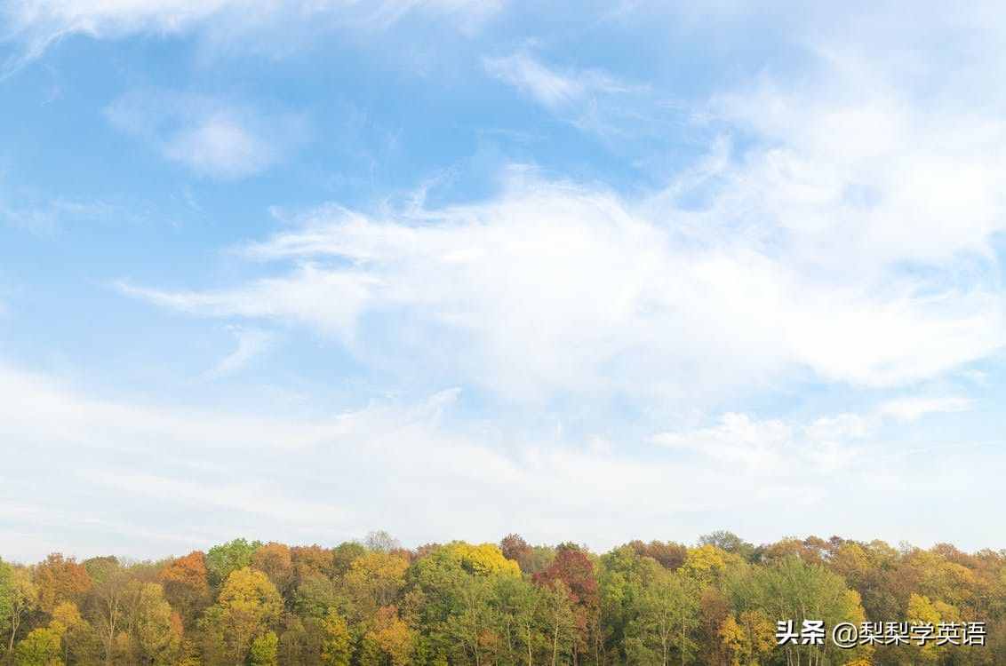 honey是蜂蜜，moon是月亮，那么honeymoon是什么意思呢？