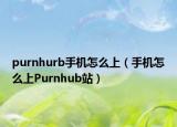 purnhurb手機怎么上（手機怎么上Purnhub站）