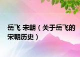 岳飛 宋朝（關于岳飛的宋朝歷史）