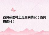 西貝莜面村上班真實(shí)情況（西貝莜面村）
